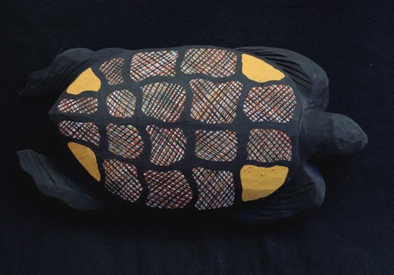 Turtle by Richard Portaminni James