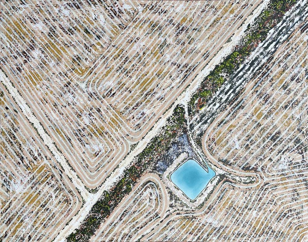 Lake Grace #1 Rohin Kickett | Lake Grace #1 | Jap 019841