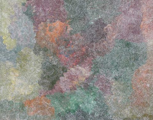 Rainbow Country by Ruby Morton Kngwarray
