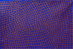 Tingari by Walala Tjapaltjarri