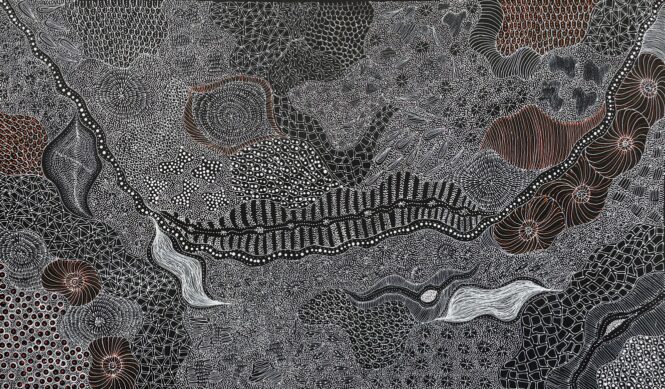 My Country – Bush Medicine by Rayleen Pula Price