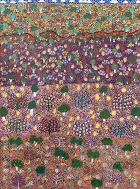 Swamp and Bush Medicines by Jessie Beasley
