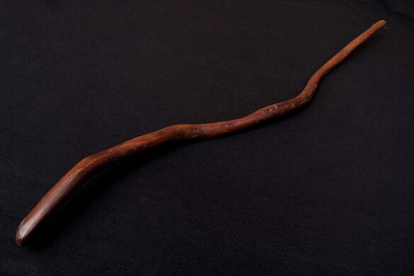 Walking Stick by Brenton James