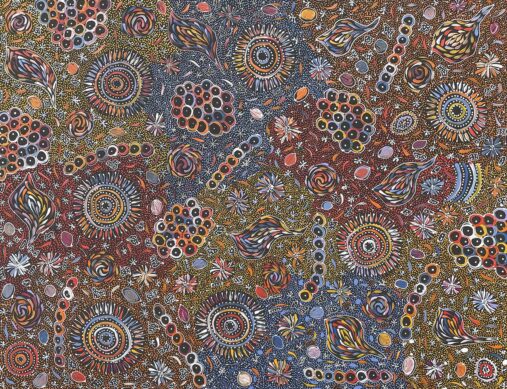 Bush Yam – My Country by Belinda Golder Kngwarreye