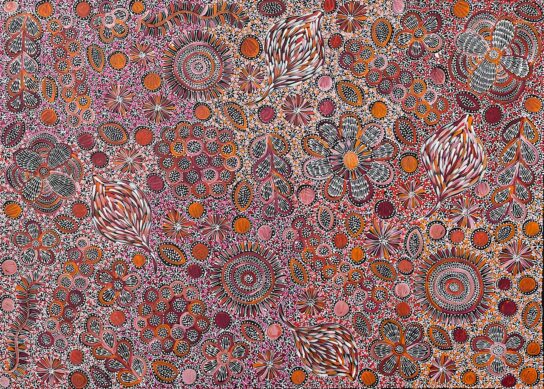 Bush Yam – My Country by Belinda Golder Kngwarreye