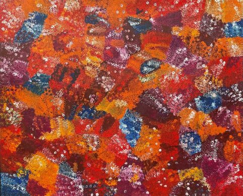 Bush Plum Dreaming by Belinda Golder Kngwarreye