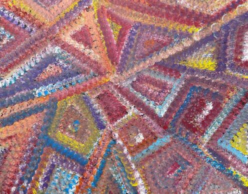 Bush Tucker and Pencil Yam by Rachael Nambula