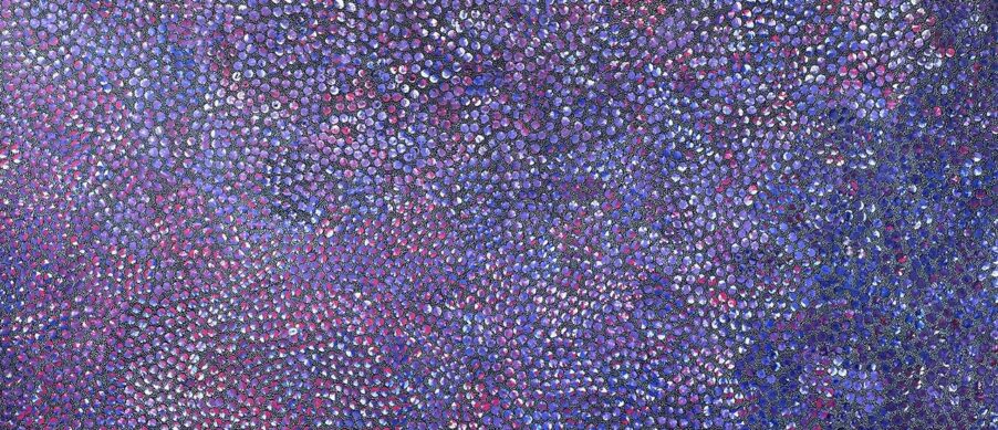 Pencil Yam Seed by Eileen Bird Kngwarreye