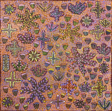 Bush Medicine Plants by Daisy Kemarre Turner