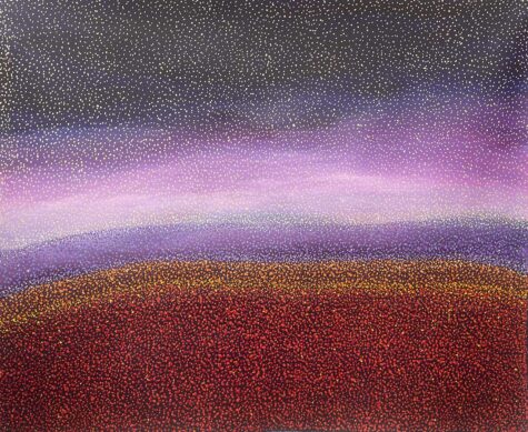 Gascoyne Wildflowers by Sonya Edney
