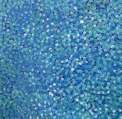 Bush Plum by Stephen Pitjara Martin