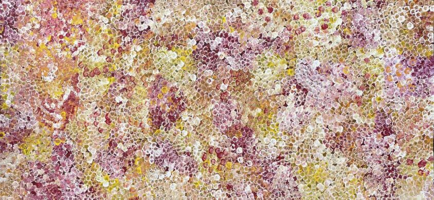 Bush Yam – My Country by Belinda Golder Kngwarreye
