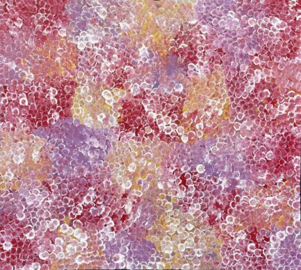 Bush Yam – My Country by Belinda Golder Kngwarreye