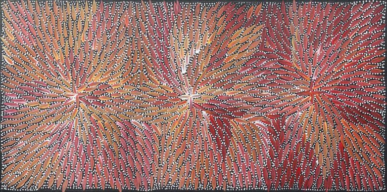 Bush Medicine Leaves by Bernadine Johnson