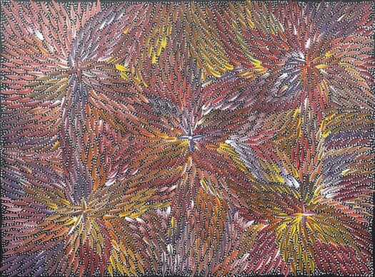 Bush Medicine Leaves by Bernadine Johnson