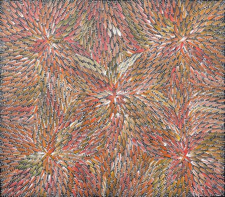 Bush Medicine Leaves by Bernadine Johnson