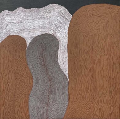 Kangaroo Fat Dreaming Hills by Troy Drill