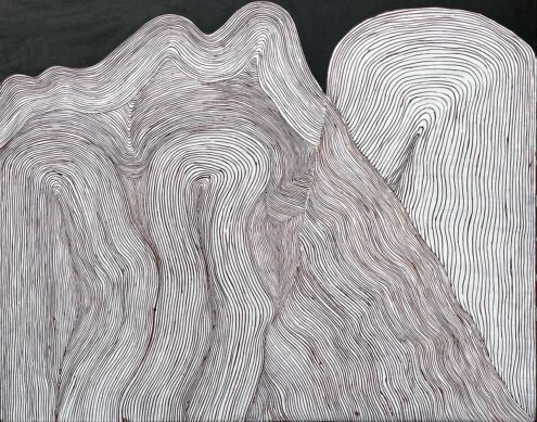 Kangaroo Fat Dreaming Hills by Troy Drill