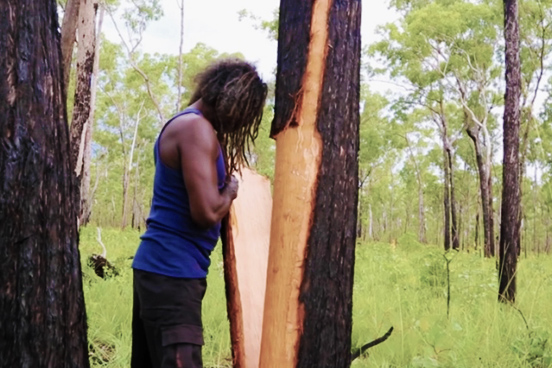 Maningrida_Artists_Bark_Collection Maningrida Artists Bark Collection