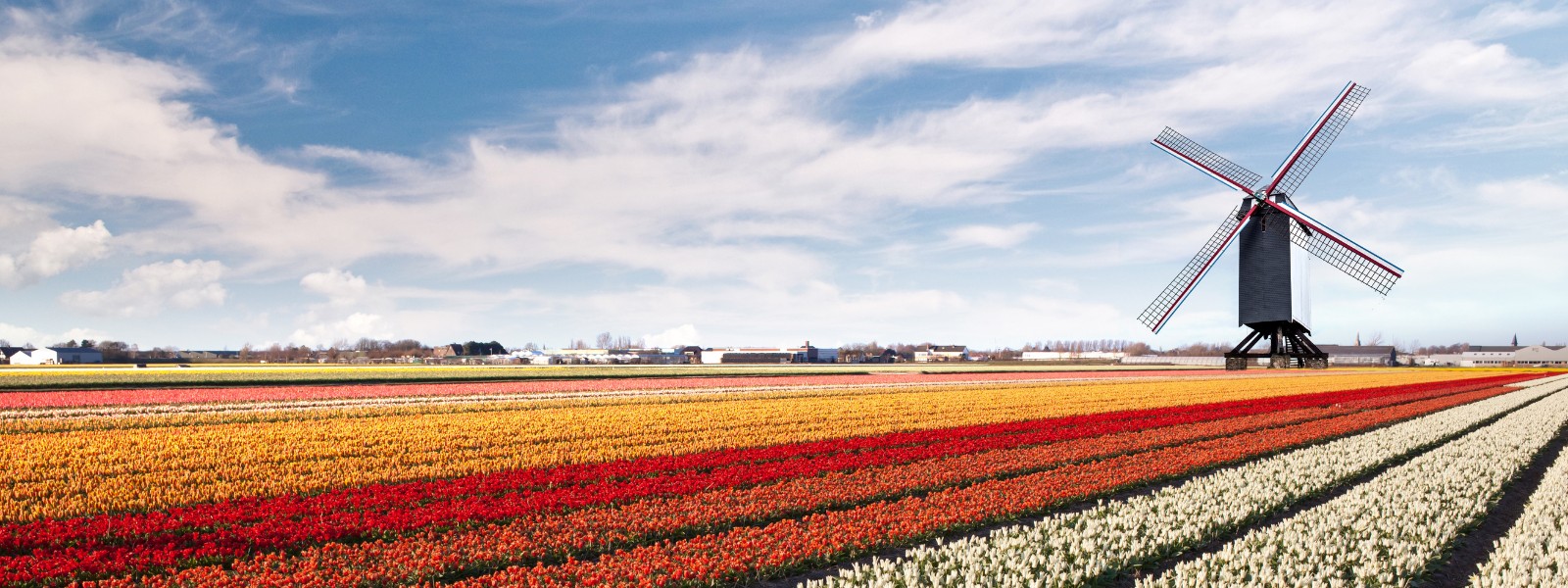 Netherlands