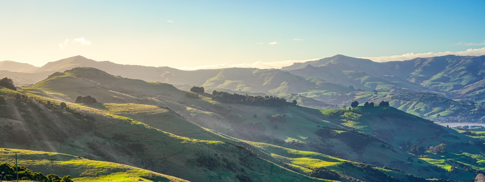 New Zealand